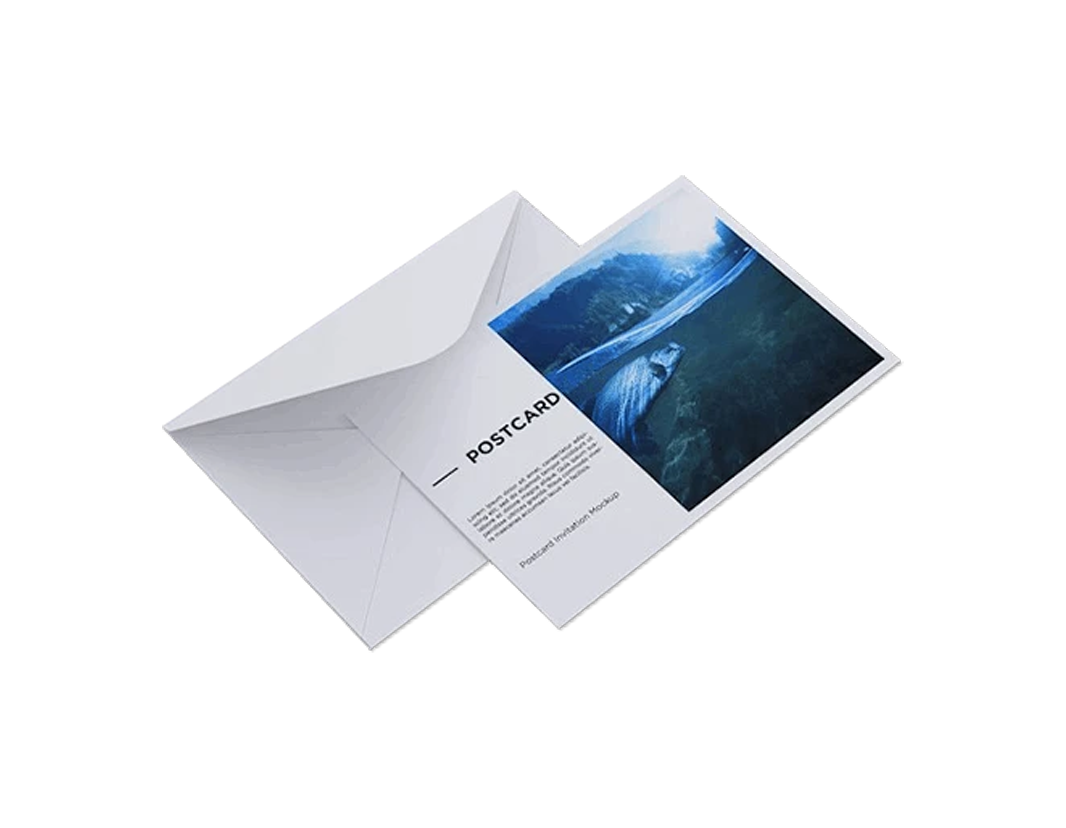 productImage6239