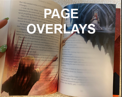 Picture of Page Overlays