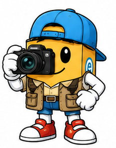 Picture for category Photography